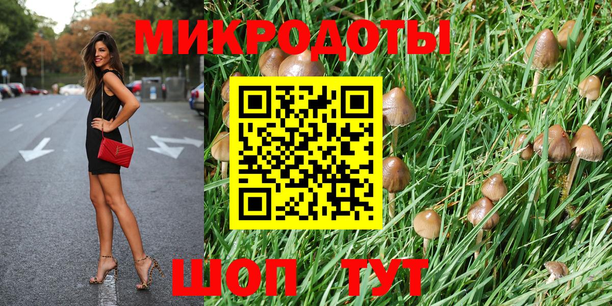Чапаевск  Галлюциногенные грибы Cubensis  Вход с VPN 